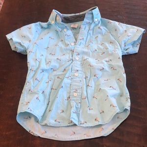 Crewcuts boys shirt